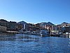 IMG_6004.JPG