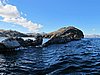 IMG_6011.JPG