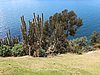 IMG_6022.JPG
