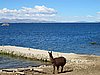 IMG_6045.JPG