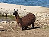 IMG_6046.JPG