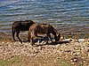 IMG_6048.JPG