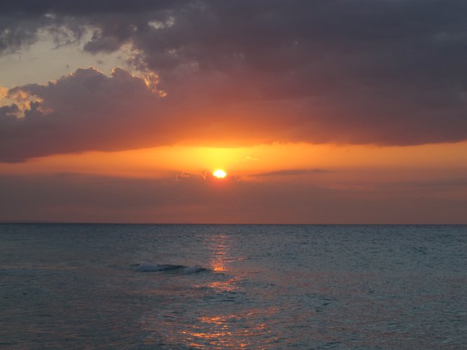 IMG_4647.JPG