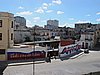 IMG_4019.JPG