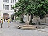 IMG_4189.JPG