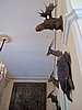 IMG_4205.JPG