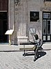 IMG_4233.JPG