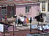 IMG_4241.JPG