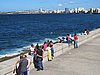 IMG_4295.JPG