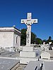 IMG_4319.JPG