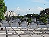 IMG_4323.JPG