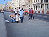 IMG_4348.JPG