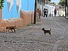 IMG_4393.JPG