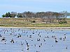 IMG_4404.JPG