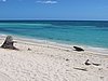 IMG_4406.JPG