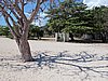 IMG_4407.JPG