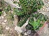 IMG_4426.JPG