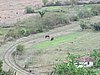 IMG_4454.JPG