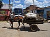 IMG_4469.JPG