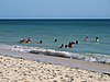 IMG_4473.JPG