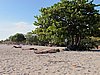 IMG_4478.JPG