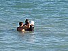 IMG_4479.JPG