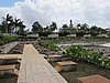 IMG_4568.JPG