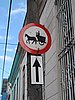 IMG_4576.JPG