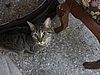 IMG_4601.JPG