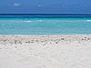 IMG_4614.JPG