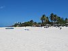 IMG_4615.JPG
