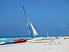 IMG_4616.JPG