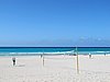 IMG_4620.JPG