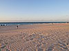 IMG_4625.JPG