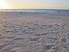 IMG_4626.JPG
