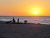 IMG_4631.JPG