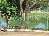 IMG_4645.JPG