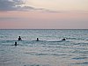 IMG_4649.JPG
