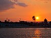IMG_4696.JPG