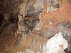 IMG_4720.JPG