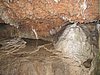 IMG_4728.JPG