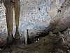 IMG_4739.JPG