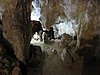 IMG_4741.JPG