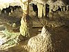 IMG_4748.JPG