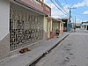 IMG_4766.JPG