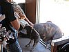IMG_4791.JPG