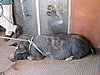 IMG_4791a.JPG