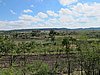 IMG_4799.JPG