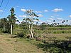 IMG_4810.JPG