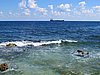 IMG_4828.JPG